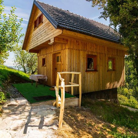 Wooden Chalet - Homestead Vrhovc Железники Экстерьер фото