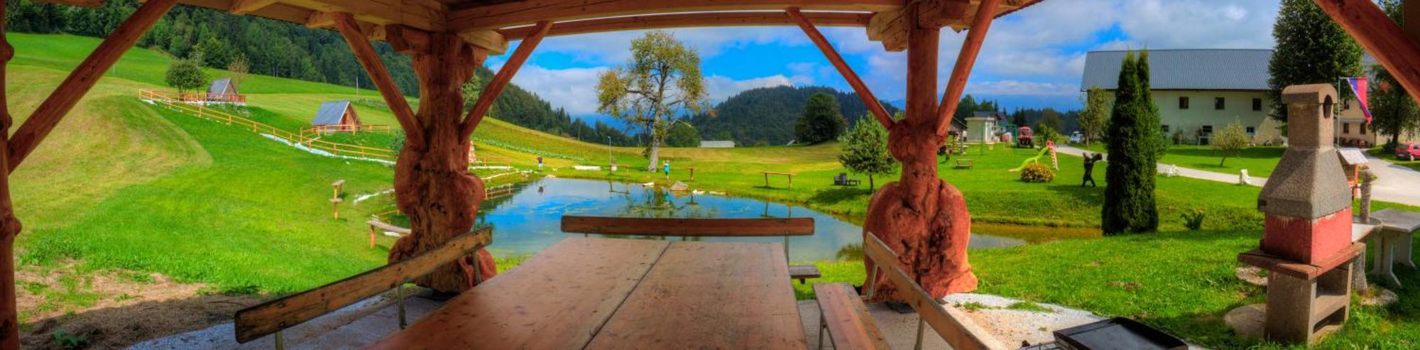 Wooden Chalet - Homestead Vrhovc Железники Экстерьер фото