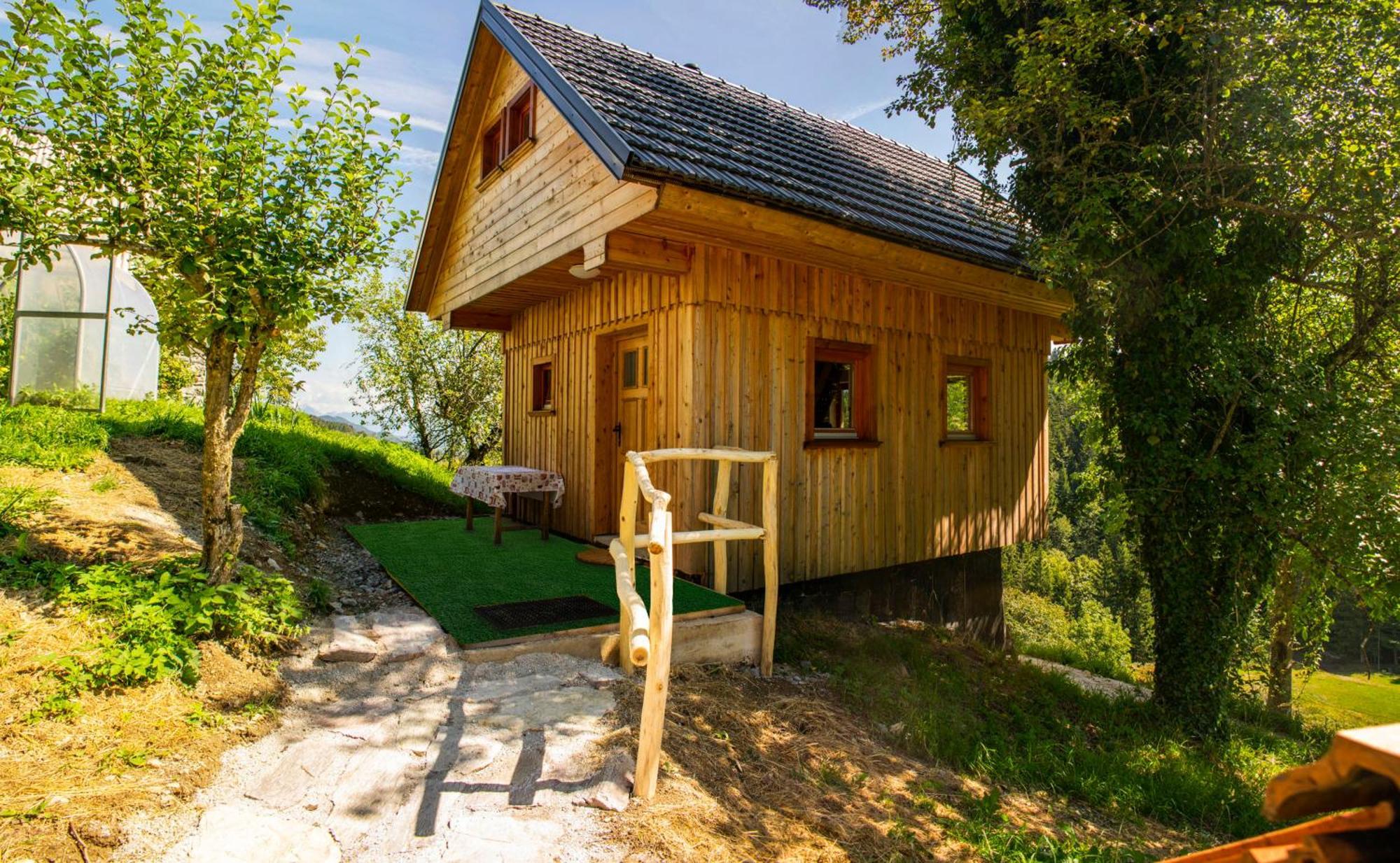 Wooden Chalet - Homestead Vrhovc Железники Экстерьер фото